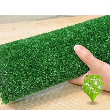 欣丝缘 仿真草坪人造草坪地毯健身房私教室内装饰绿色户外人工塑料假